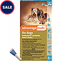 Advantage Multi Topical Solution for Dogs 9.1 to 20 lbs