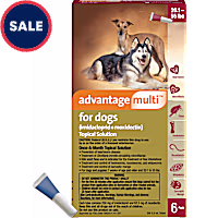 Advantage Multi Topical Solution for Dogs 20.1 to 55 lbs