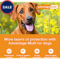 Advantage Multi Topical Solution for Dogs 88.1 to 110 lbs