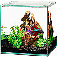 Aqueon Frameless Cube Aquarium