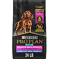 Purina Pro Plan Sensitive Skin and Stomach Formula, Lamb and Oat Meal Dry Puppy Food