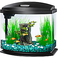 Aqueon Black 5 Gallon LED MiniBow SmartClean Kit