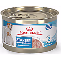 Royal Canin Size Health Nutrition Starter Mother & Babydog Mousse in Sauce Dog Food