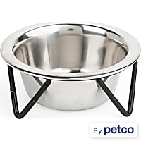 EveryYay Better Together Elevated Stainless-Steel Cat Bowl