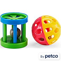 EveryYay Playin' Around Ferret Fun Ball & Wagon Wheel