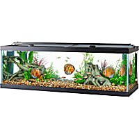 Aqueon Standard Open-Glass Glass Aquarium Tank