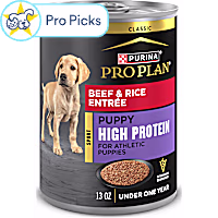 Purina Pro Plan Sport High Protein Beef & Rice Entree Formula Wet Puppy Food
