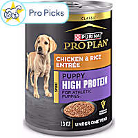 Purina Pro Plan Sport High Protein Chicken and Rice Entree Formula Wet Puppy Food