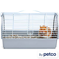 EveryYay Small Animal Pet Carrier