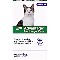 Advantage Topical Flea Prevention 2-Monthly Treatments For Large Cats
