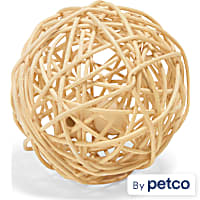 EveryYay Stick Ball for Small Animals