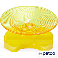 EveryYay Exercise Saucer for Small Animals