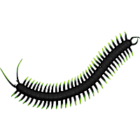 Playology Centipede Cat Toy