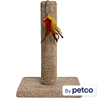 EveryYay Carpeted Cat Scratch Post with Feather Toy