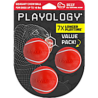 Playology Beef Scented Squeaky Chew Ball Dog Toy