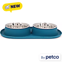 EveryYay Silicone Double Diner Base with Stainless Seel Inserts Cat Bowl