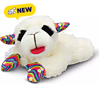 Multipet International Lamb Chop Groovy Dog Toy