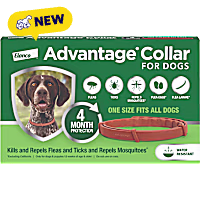 Advantage 4-Month Protection Flea and Tick Collar for Dogs and Puppies