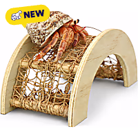 Multipet International Komodo Hermit Crab Playground