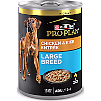 Purina Pro Plan Chicken and Rice Entree Gravy Large Breed Wet Dog Food