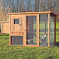 TRIXIE Natura Flat Roof Chicken Coop with Outdoor Run