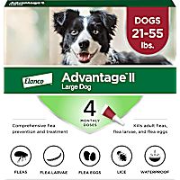 Advantage II Vet-Recommended Flea Treatment & Prevention for Large Dogs