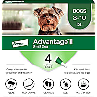 Advantage II Vet-Recommended Flea Treatment & Prevention for Small Dogs