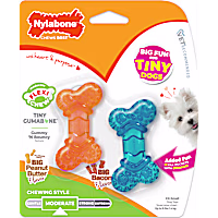 Nylabone Moderate Chew FlexiChew Bone Peanut Butter & Bacon Orange & Blue XX-Small/Tiny - Up to 8 lbs.