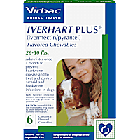 Iverhart Plus Chewable Tablets for Dogs 26 to 50 lbs.