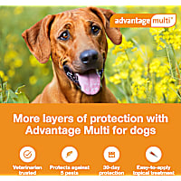 Advantage Multi Topical Solution for Dogs 88.1 to 110 lbs