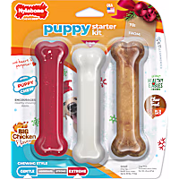 Nylabone Holiday Puppy Starter Kit Chew Toys & Treat Chicken & Bacon