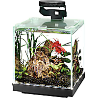 Aqueon Edgelit Cube Glass Aquarium