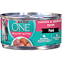 Purina ONE Grain Free Healthy Chicken & Salmon Recipe Pate Wet Kitten Food