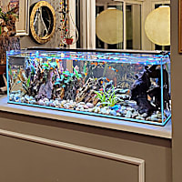 Lifegard Aquatics Ultra Low Iron Glass Bookshelf Aquarium