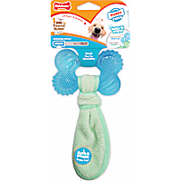 Nylabone Freezer Bone Peanut Butter Chew Puppy Toy