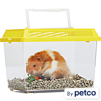 EveryYay Small Pet Carrier