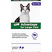 Advantage Topical Flea Prevention 2-Monthly Treatments For Large Cats