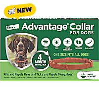 Advantage 4-Month Protection Flea and Tick Collar for Dogs and Puppies