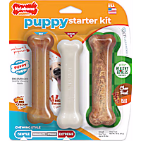 Nylabone Healthy Edibles Puppy Starter Kit