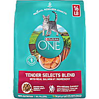 Purina ONE Natural Tender Selects Blend with Real Salmon Dry Cat Food