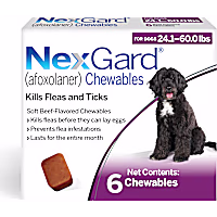 NexGard (afoxolaner) Flea and Tick Soft Beef Flavored Oral Chewables for Dogs 24.1 - 60 lbs. (Purple)