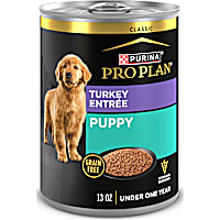 Purina Pro Plan Grain Free Classic Turkey Entree Wet Puppy Food