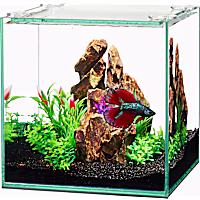 Aqueon Frameless Cube Aquarium