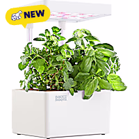 Back to the Roots Hydroponic Grow Kit Indoor Garden with LED Light and Organic Seeds Matte White