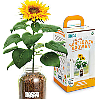 Back to the Roots Organic Sunflower Windowsill Grow Kit