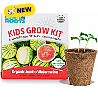 Back to the Roots Kids Grow Kit Organic Jumbo Watermelon