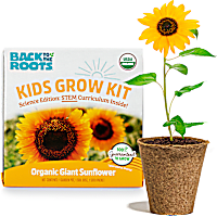 Back to the Roots Kids Sunflower Grow Kit