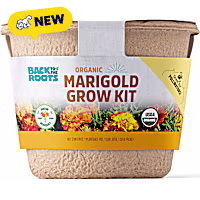 Back to the Roots Organic Marigold Flower Grow Kit