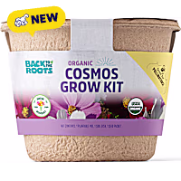 Back to the Roots Organic Cosmos Flower Grow Kit