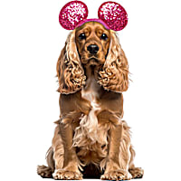 RUBIES Minnie Ears Valentines for Dogs